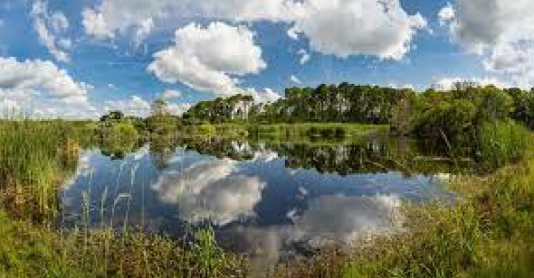 Things To Do Hiking in Hilton Head